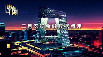 河南都市爆料双新新闻,双新新闻聚焦创新与发展